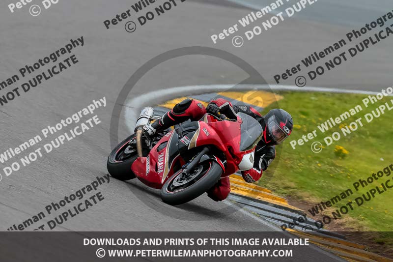 PJ Motorsport 2019;anglesey no limits trackday;anglesey photographs;anglesey trackday photographs;enduro digital images;event digital images;eventdigitalimages;no limits trackdays;peter wileman photography;racing digital images;trac mon;trackday digital images;trackday photos;ty croes